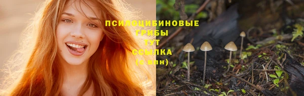 a pvp Богданович
