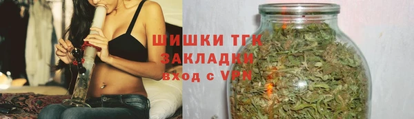 молекула духа Богородицк