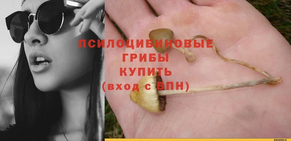 spice Бородино