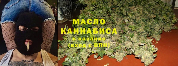 молекула духа Богородицк